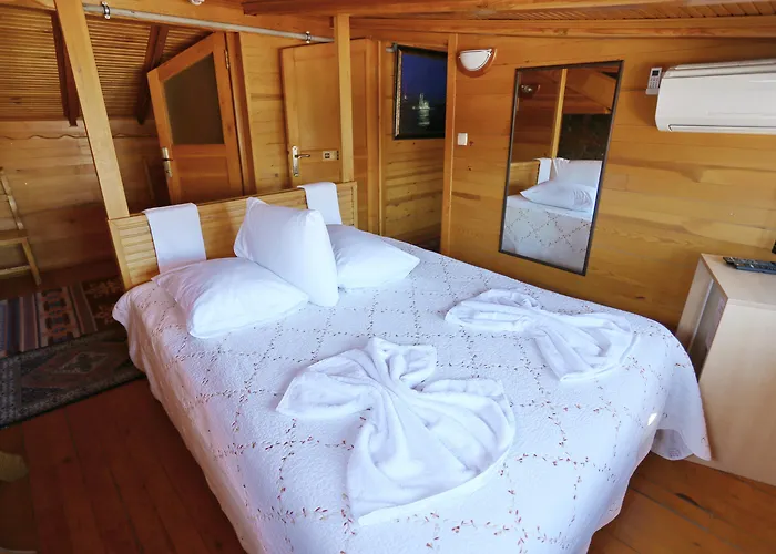 Pension Guide Le Safran Suite